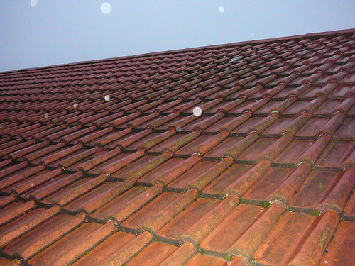 3 common types of roofing damage most homeowners face