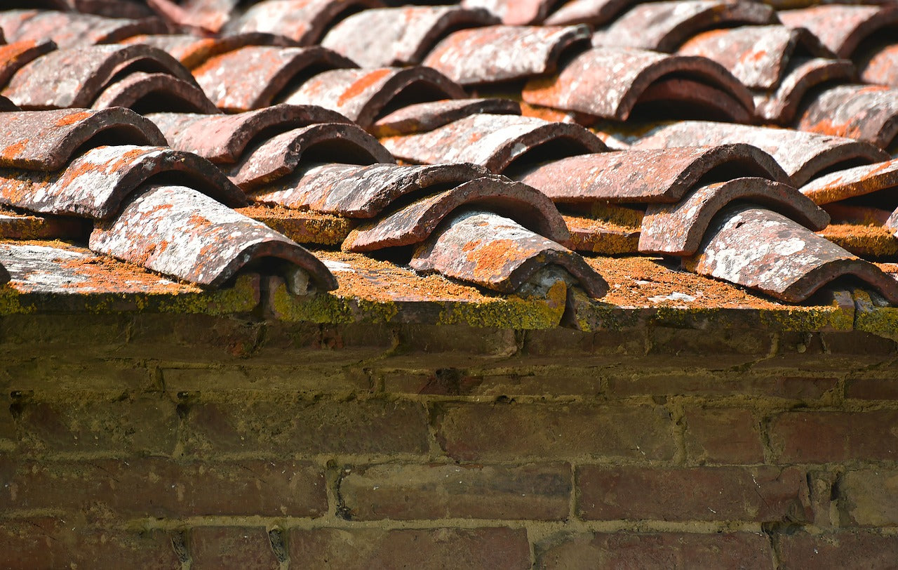 Why Fast Flash is a Game-Changer in Leak Prevention